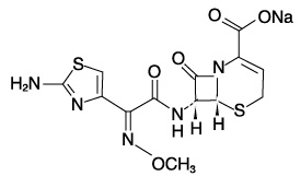 ע����ͷ�������