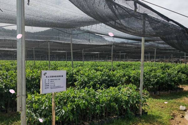 ³ÁÏ㹤ҵ԰ ³ÁÏ㹤ҵ԰