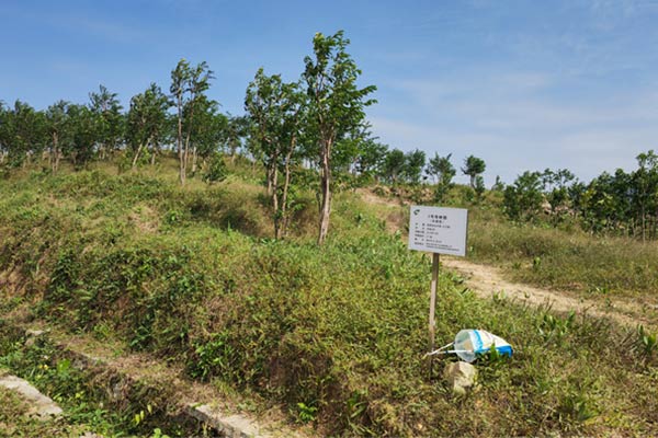 ³ÁÏ㹤ҵ԰ ³ÁÏ㹤ҵ԰