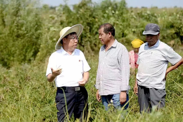 йtyc41183̫()޹˾-ٷվ