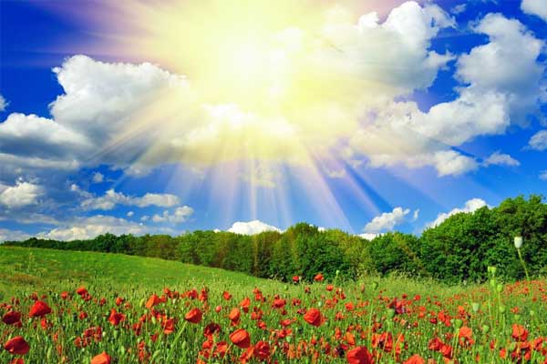 йtyc41183̫()޹˾-ٷվ