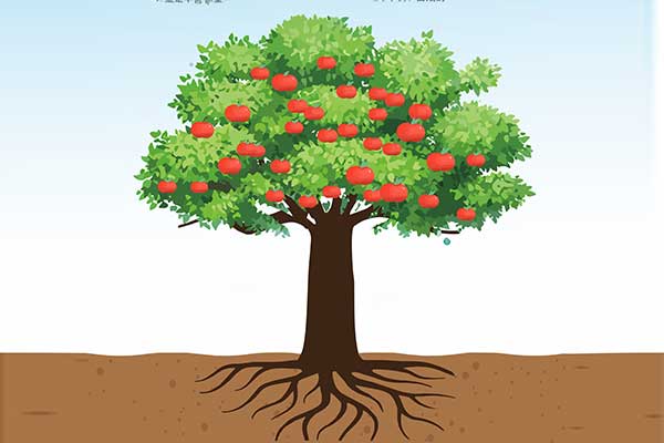 йtyc41183̫()޹˾-ٷվ