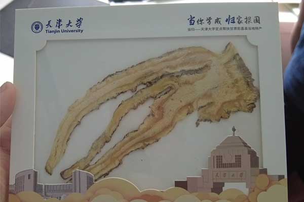 йtyc41183̫()޹˾-ٷվ