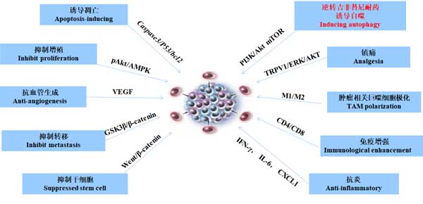 ¸´·½¿à²Î×¢ÉäÒº ¸´·½¿à²Î×¢ÉäÒº