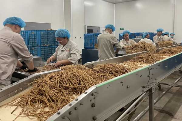 йtyc41183̫()޹˾-ٷվ