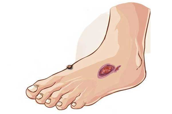 йtyc41183̫()޹˾-ٷվ