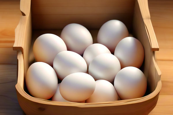 йtyc41183̫()޹˾-ٷվ