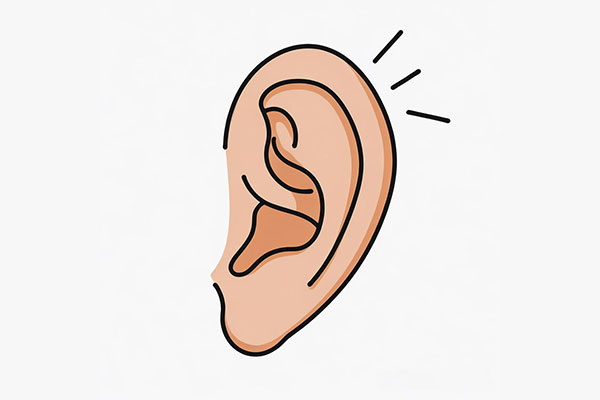 йtyc41183̫()޹˾-ٷվ