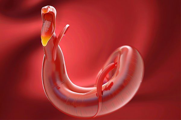 йtyc41183̫()޹˾-ٷվ