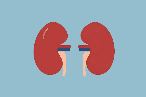 йtyc41183̫()޹˾-ٷվ