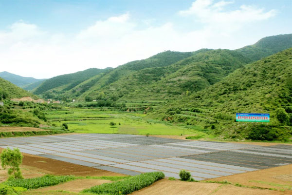 tyc41183Ì«Ñô³É¼¯ÍÅ,tyc41183Ì«Ñô³É¼¯ÍÅÖÐÒ©²Ä,ÖÐÒ©²Ä tyc41183Ì«Ñô³É¼¯ÍÅ,tyc41183Ì«Ñô³É¼¯ÍÅÖÐÒ©²Ä,ÖÐÒ©²Ä