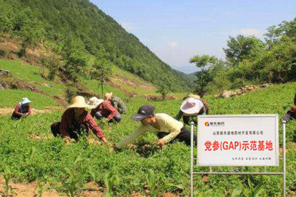 tyc41183Ì«Ñô³É¼¯ÍÅ,tyc41183Ì«Ñô³É¼¯ÍÅÖÐÒ©²Ä,ÖÐÒ©²Ä tyc41183Ì«Ñô³É¼¯ÍÅ,tyc41183Ì«Ñô³É¼¯ÍÅÖÐÒ©²Ä,ÖÐÒ©²Ä