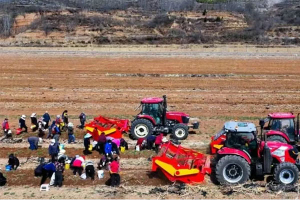 工业扶贫 工业扶贫