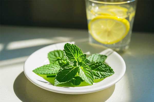 йtyc41183̫()޹˾-ٷվ