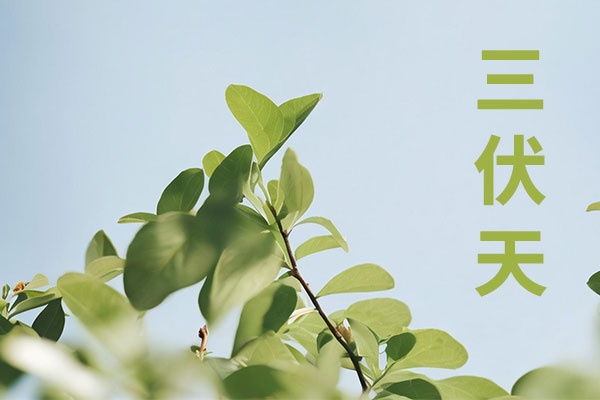 йtyc41183̫()޹˾-ٷվ