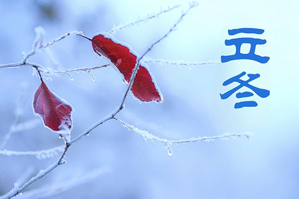 �й���tyc41183̫����(����)���޹�˾-�ٷ���վ