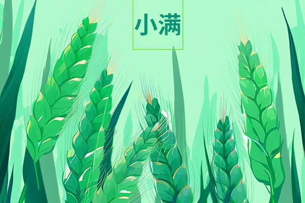 �й���tyc41183̫����(����)���޹�˾-�ٷ���վ